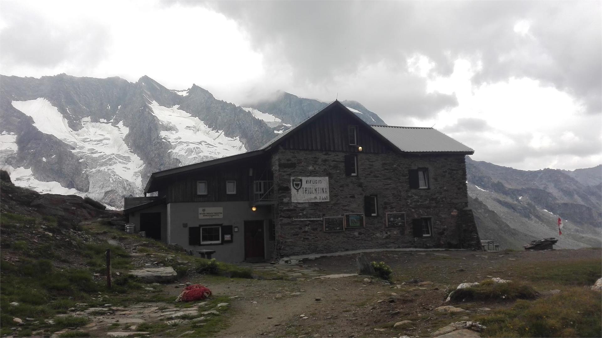 High Altitude Trail Lausitzer Prettau/Predoi 1 suedtirol.info