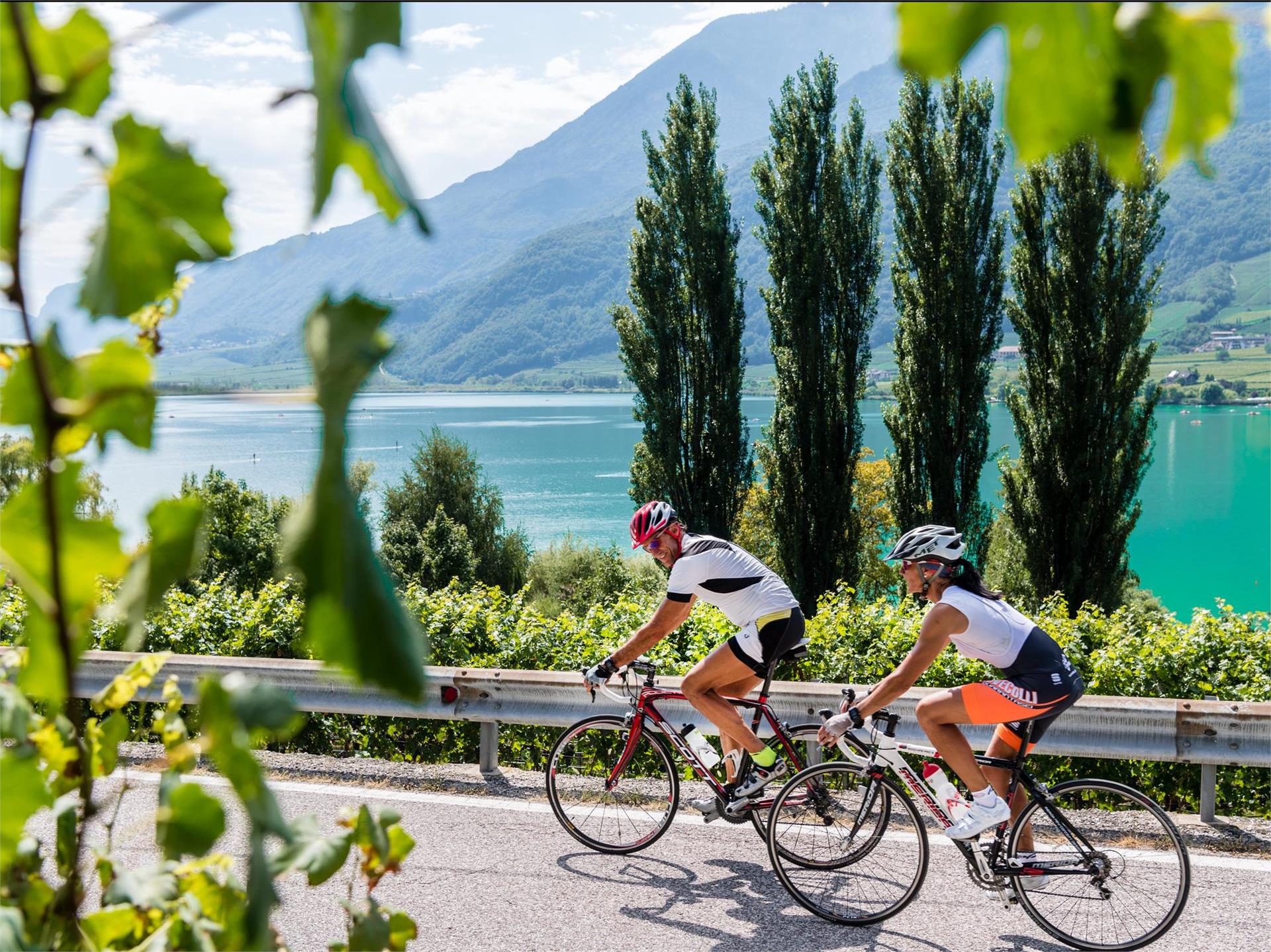 Kaltern Bike Rennradtour: Trudner Kletterpartie Kaltern an der Weinstraße 1 suedtirol.info