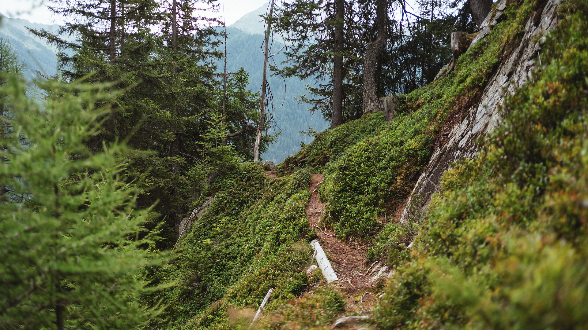 Der Tirolersteig -  - #4 - suedtirol.info