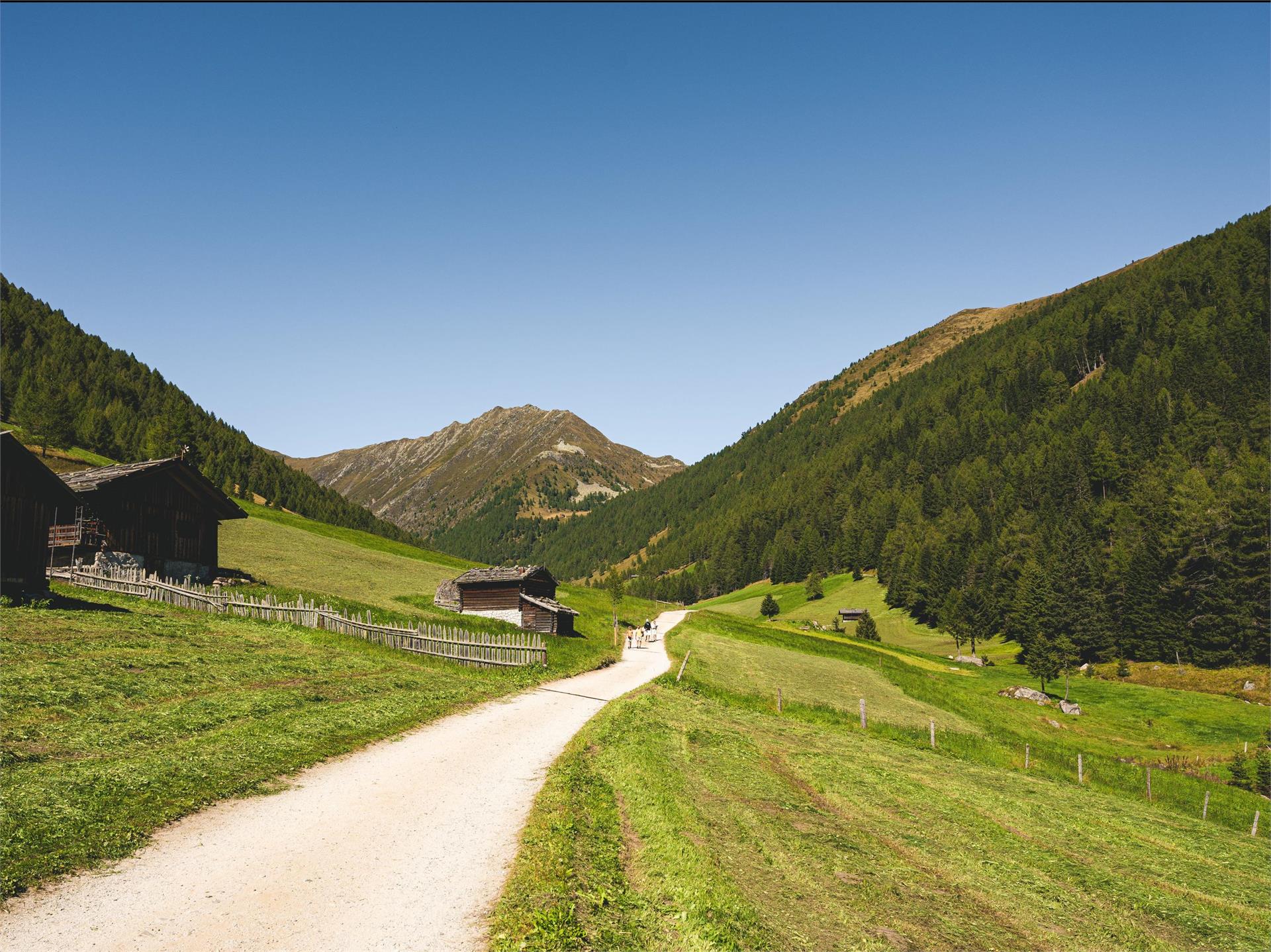 Trailrunning-Abenteuer in Meransen – Berge, Trails und Natur pur Mühlbach 3 suedtirol.info