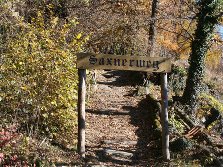 Sentiero per "Terrainkur" n° 4 - Cascata di Parcinesblà – Alta Via di Parcines – Saxner - Parcines – Ta Parcines 3 suedtirol.info