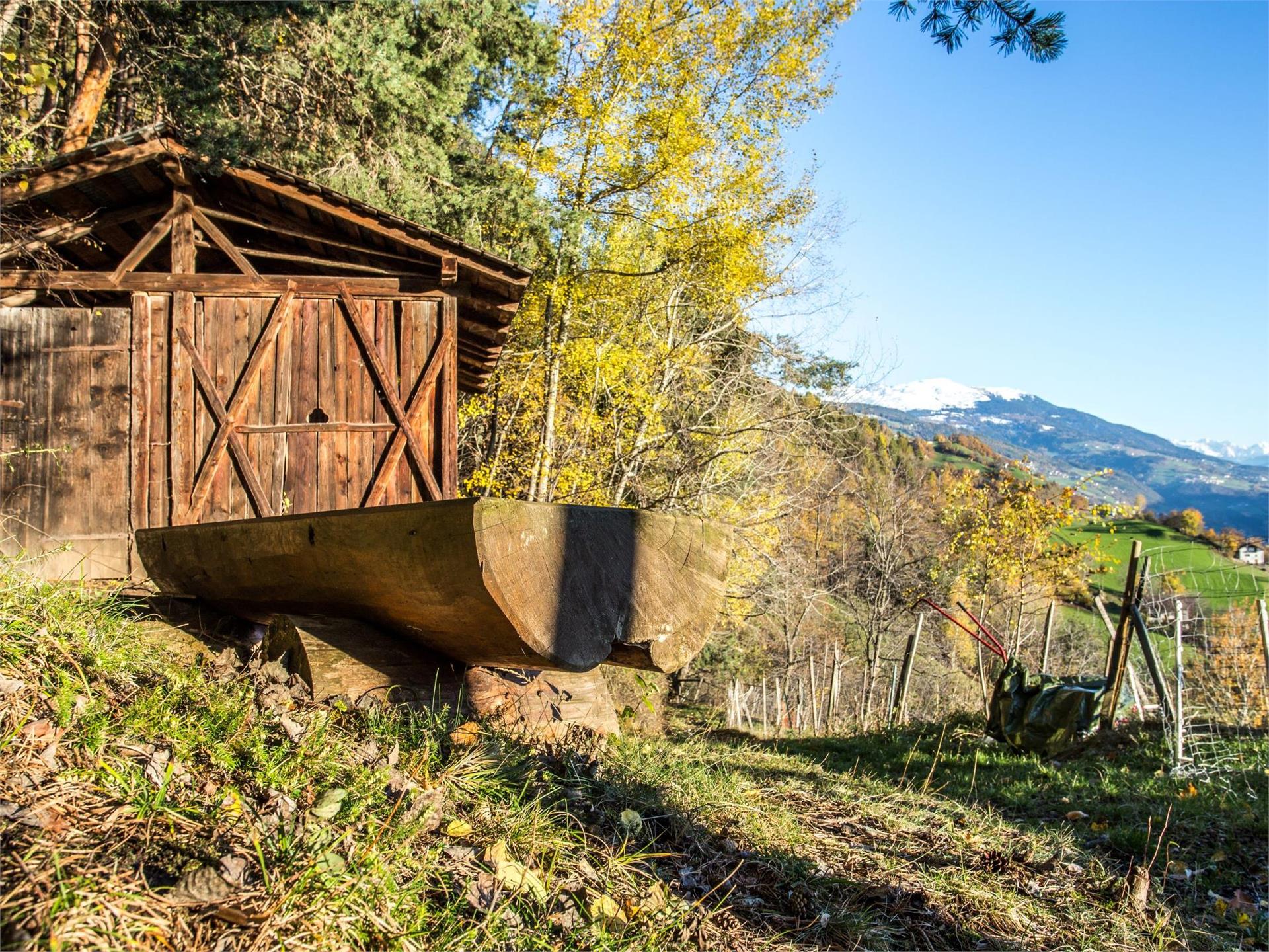 Törggelewanderung Kollmann - Saubach - Barbian Waidbruck 2 suedtirol.info