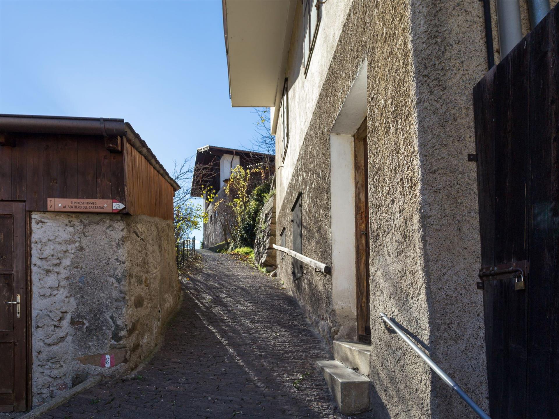 Törggelewanderung Kollmann - Saubach - Barbian Waidbruck 1 suedtirol.info