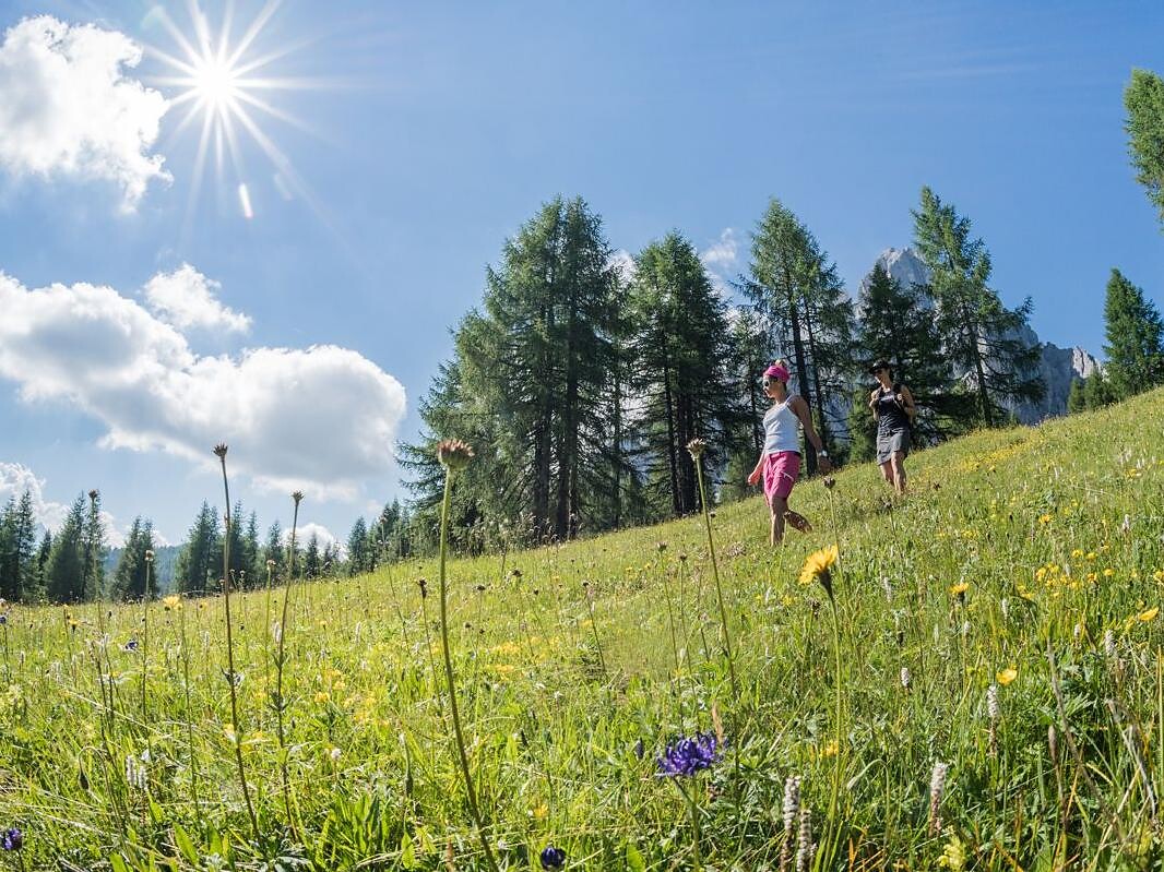 Wandern mit Kinderwagen