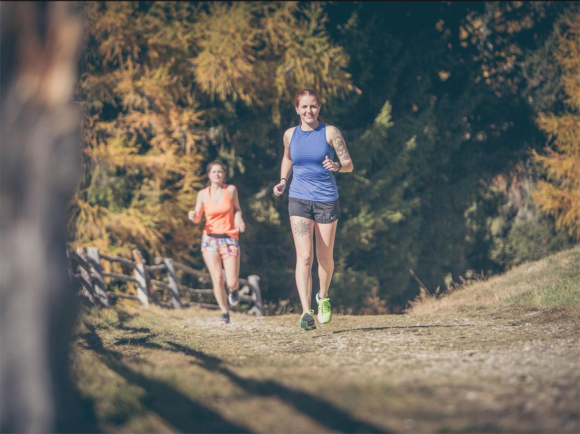 The Vintl to Pfunders Run – Nature’s Challenge Vintl/Vandoies 1 suedtirol.info