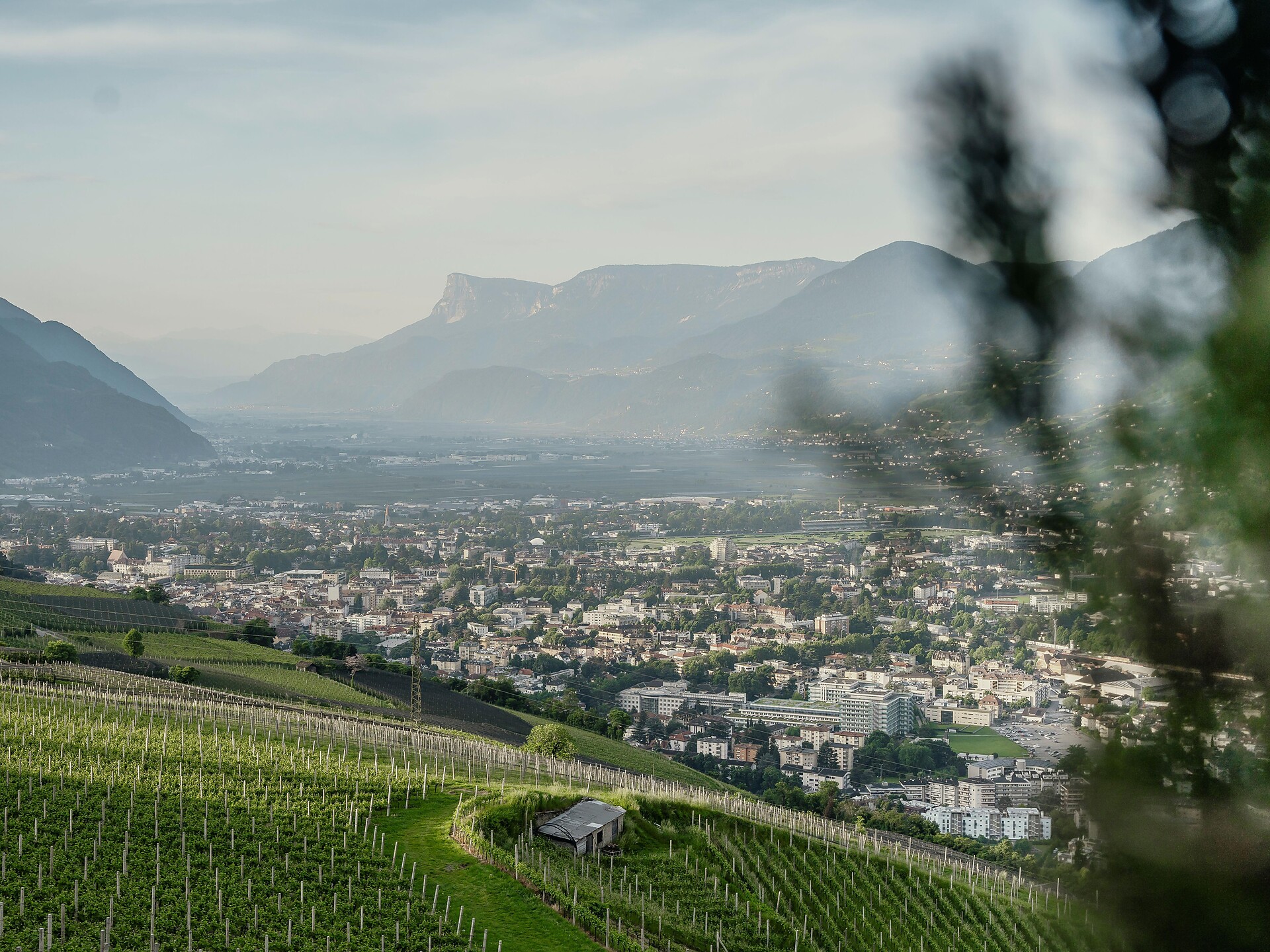 Tour Tiroler Kreuz - Merano e dintorni - #3 - suedtirol.info
