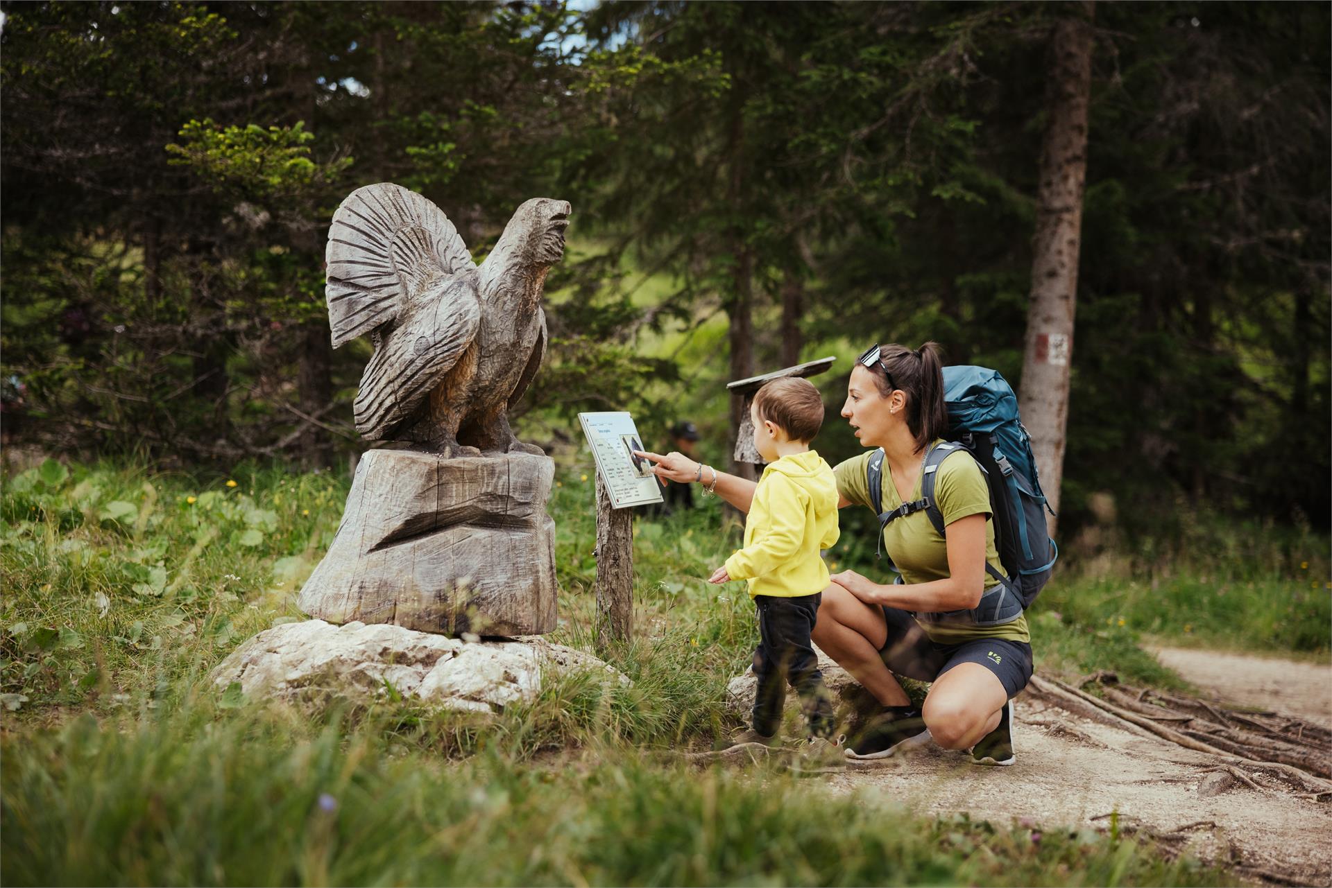 Tru di tiers - auf den Spuren der Wildtiere Badia 1 suedtirol.info