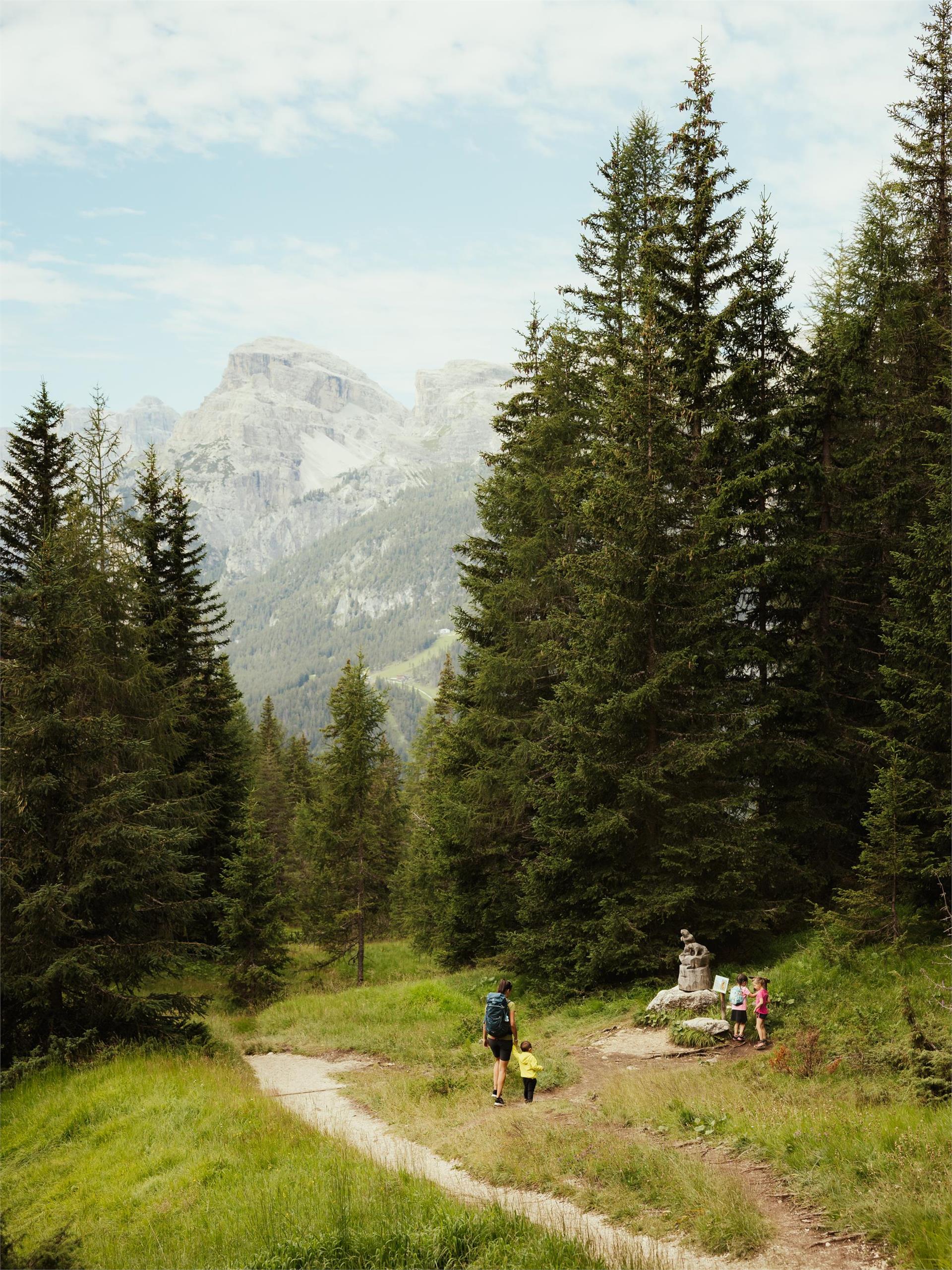 Tru di tiers - auf den Spuren der Wildtiere Badia 2 suedtirol.info