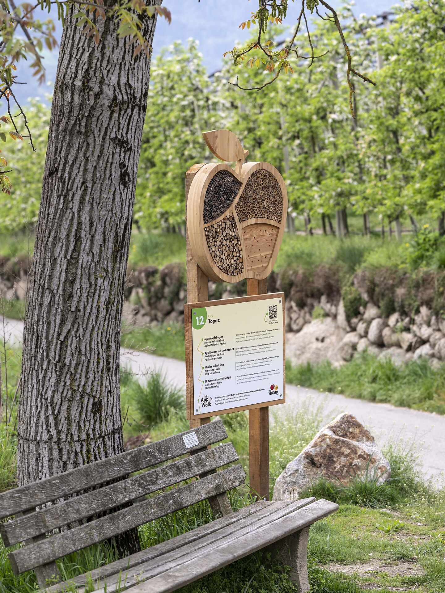 Apple walk