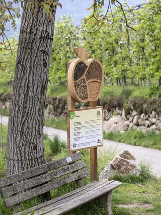 The Apple walk - Apfel-Lehrpfad mit Quiz - Partschins - #4 - suedtirol.info