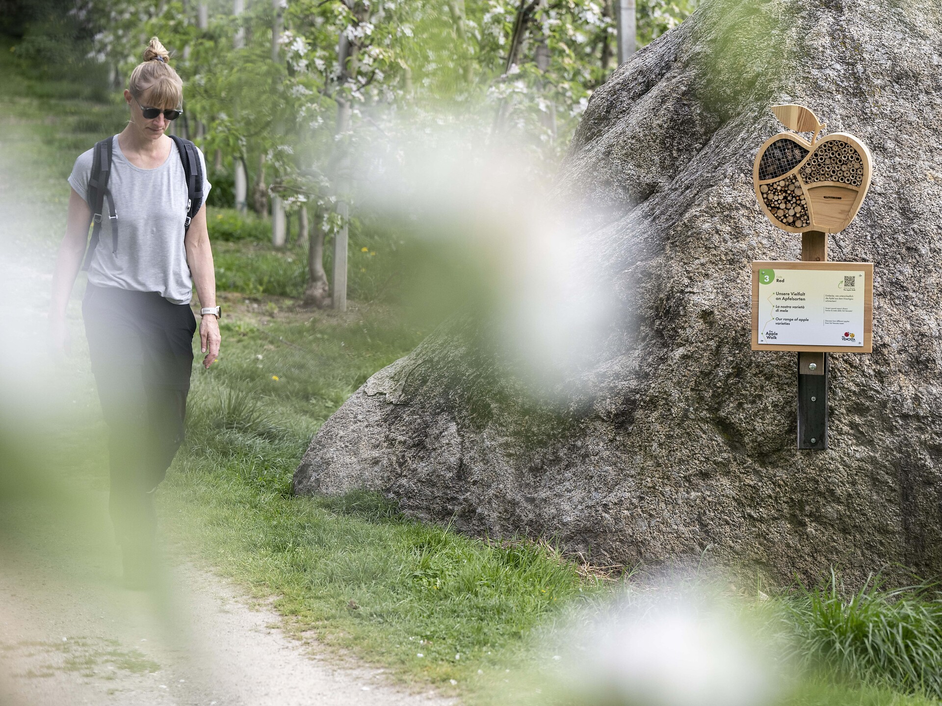 Round trip through the apple orchards