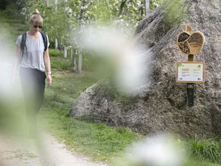 The Apple walk - Apfel-Lehrpfad mit Quiz - Partschins - #9 - suedtirol.info