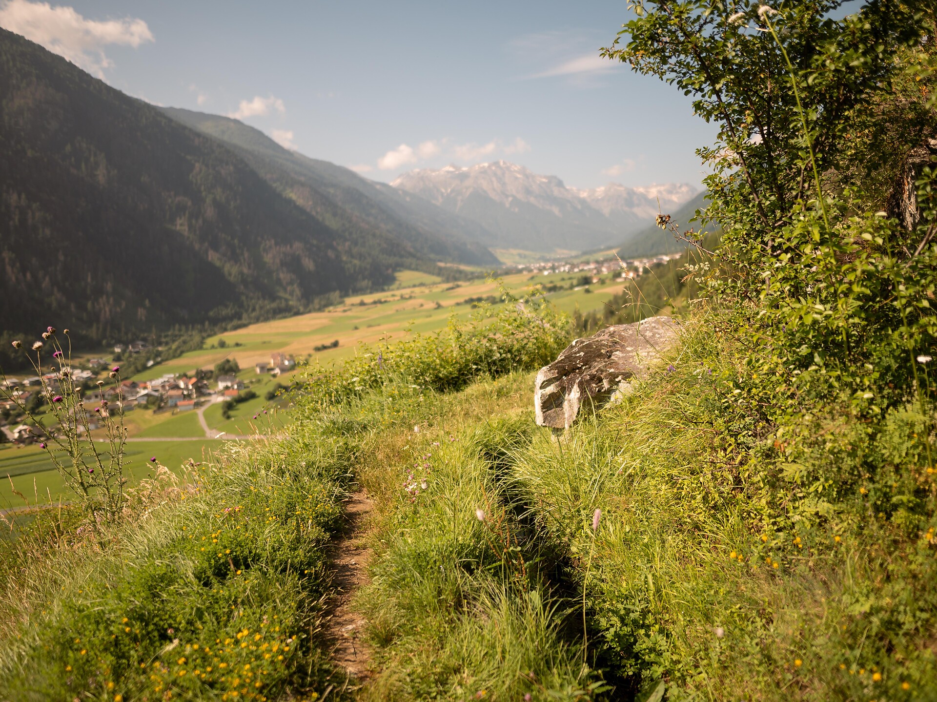 Sentiero della roggia "Turnaunawaal" - Val Venosta - #3 - suedtirol.info