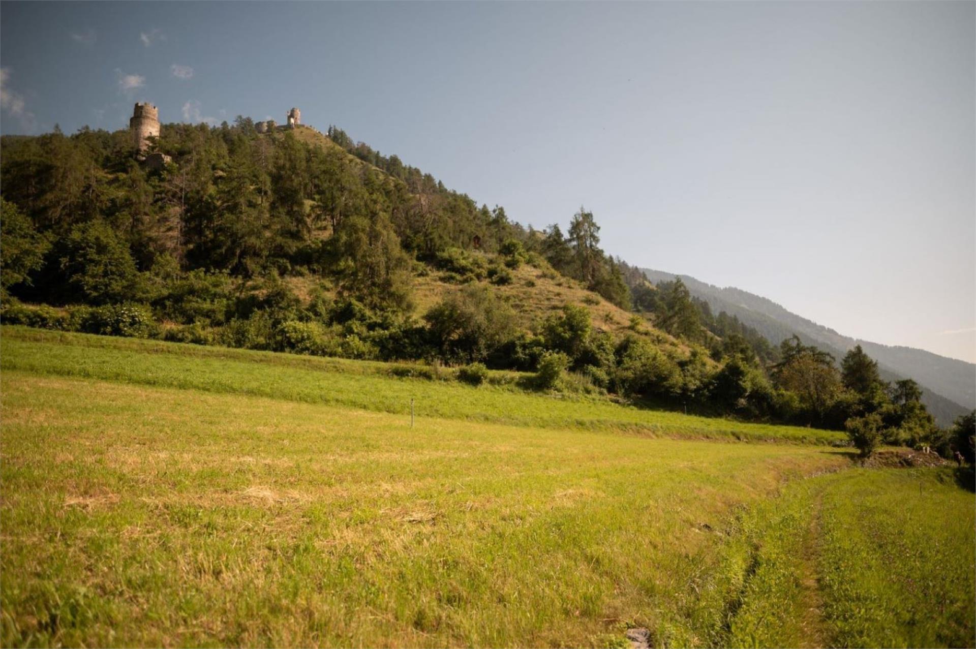 Sentiero della roggia "Turnaunawaal" Tubre 1 suedtirol.info