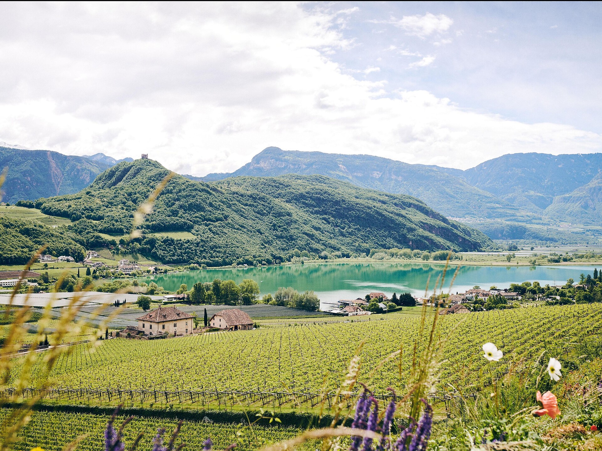 Tour Scena - Lago di Caldaro  - Merano e dintorni - #2 - suedtirol.info