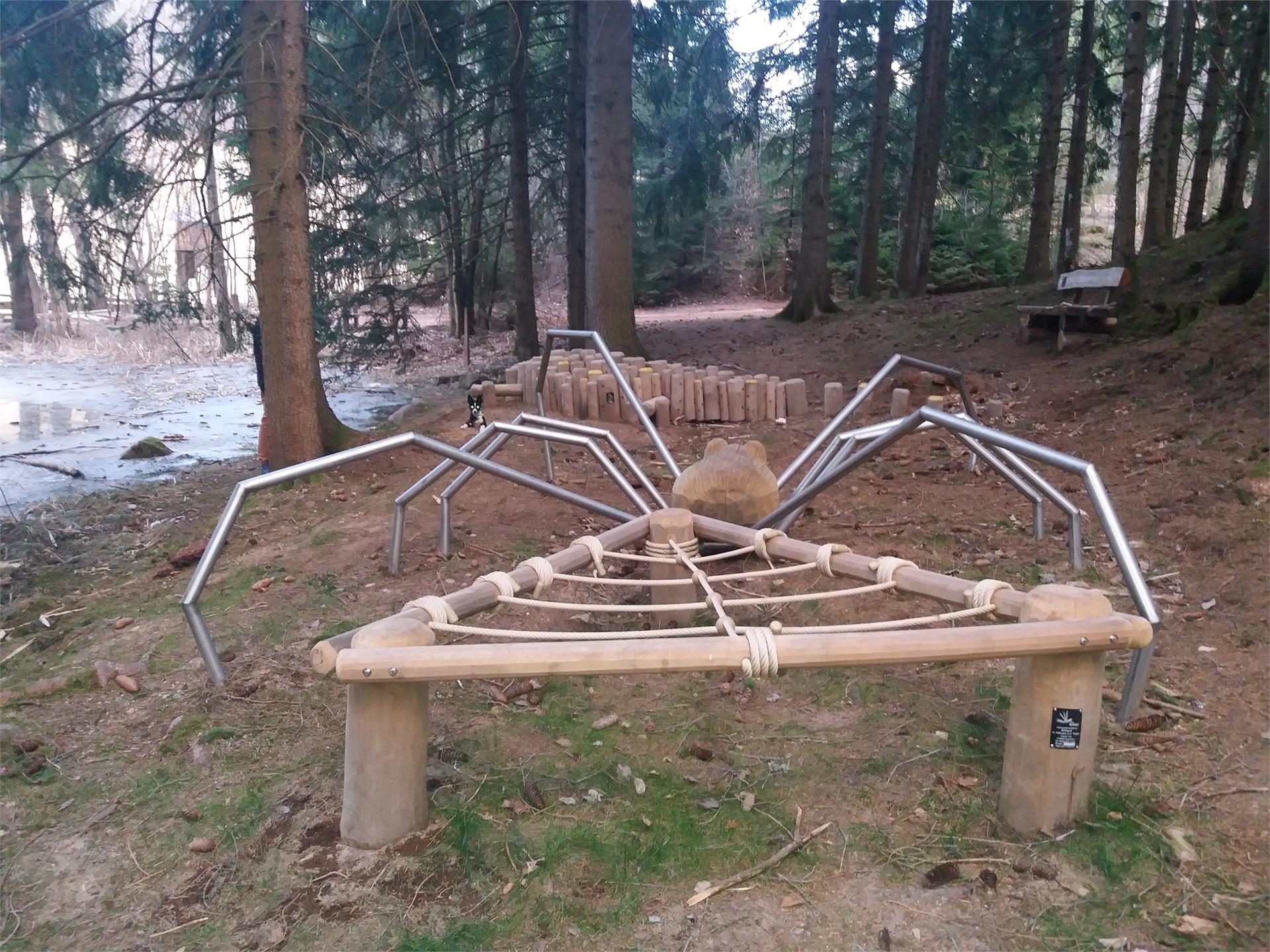 Theme trail Köfeleweg longer version Mölten/Meltina 5 suedtirol.info