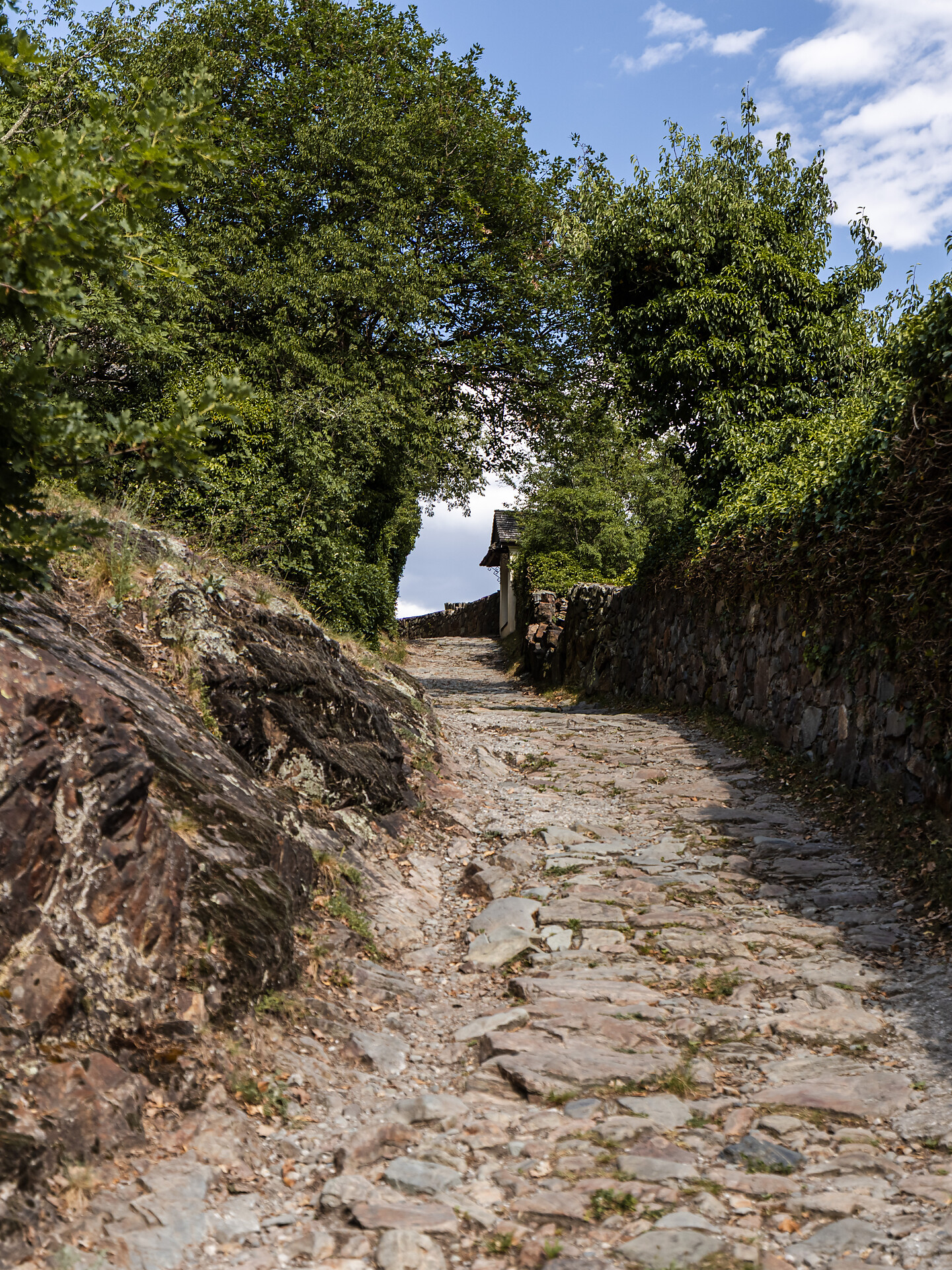 Törggele Hike Klausen - Pardell - Brixen/Bressanone and environs - #3 - suedtirol.info