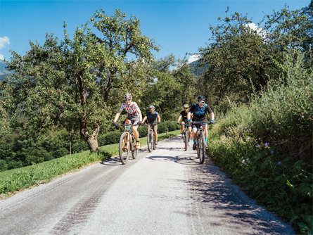 Trodena-Connection Cycle Route Adige Neumarkt/Egna 1 suedtirol.info