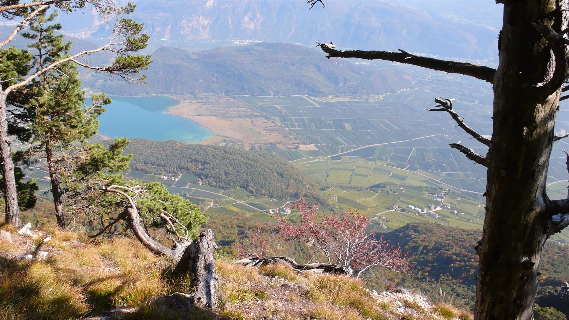 Traminer Höhenweg Tramin an der Weinstraße 1 suedtirol.info