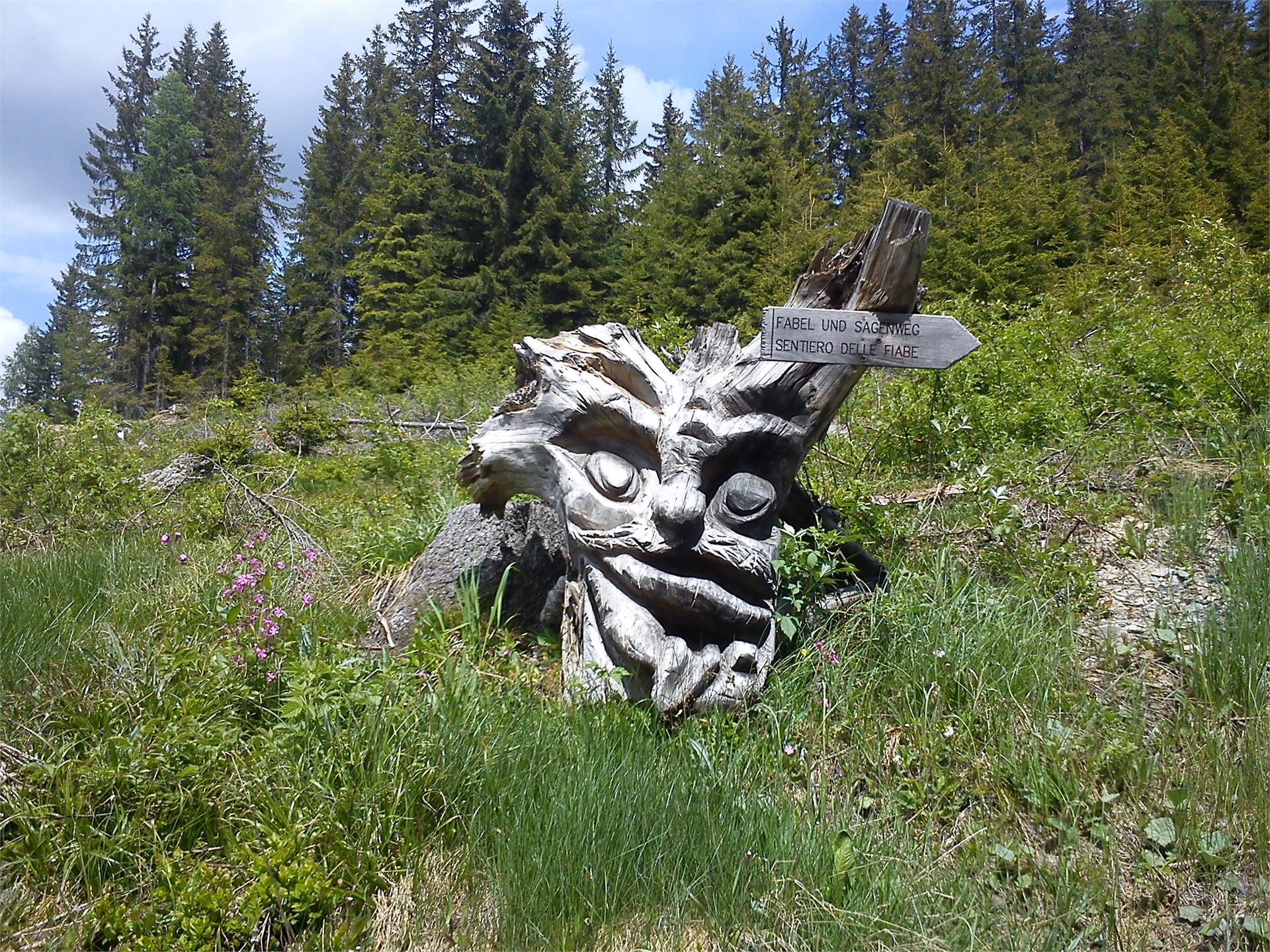 Theme path: Contemplation Trail and Fable &amp; Fairytale Trail Sexten/Sesto 1 suedtirol.info
