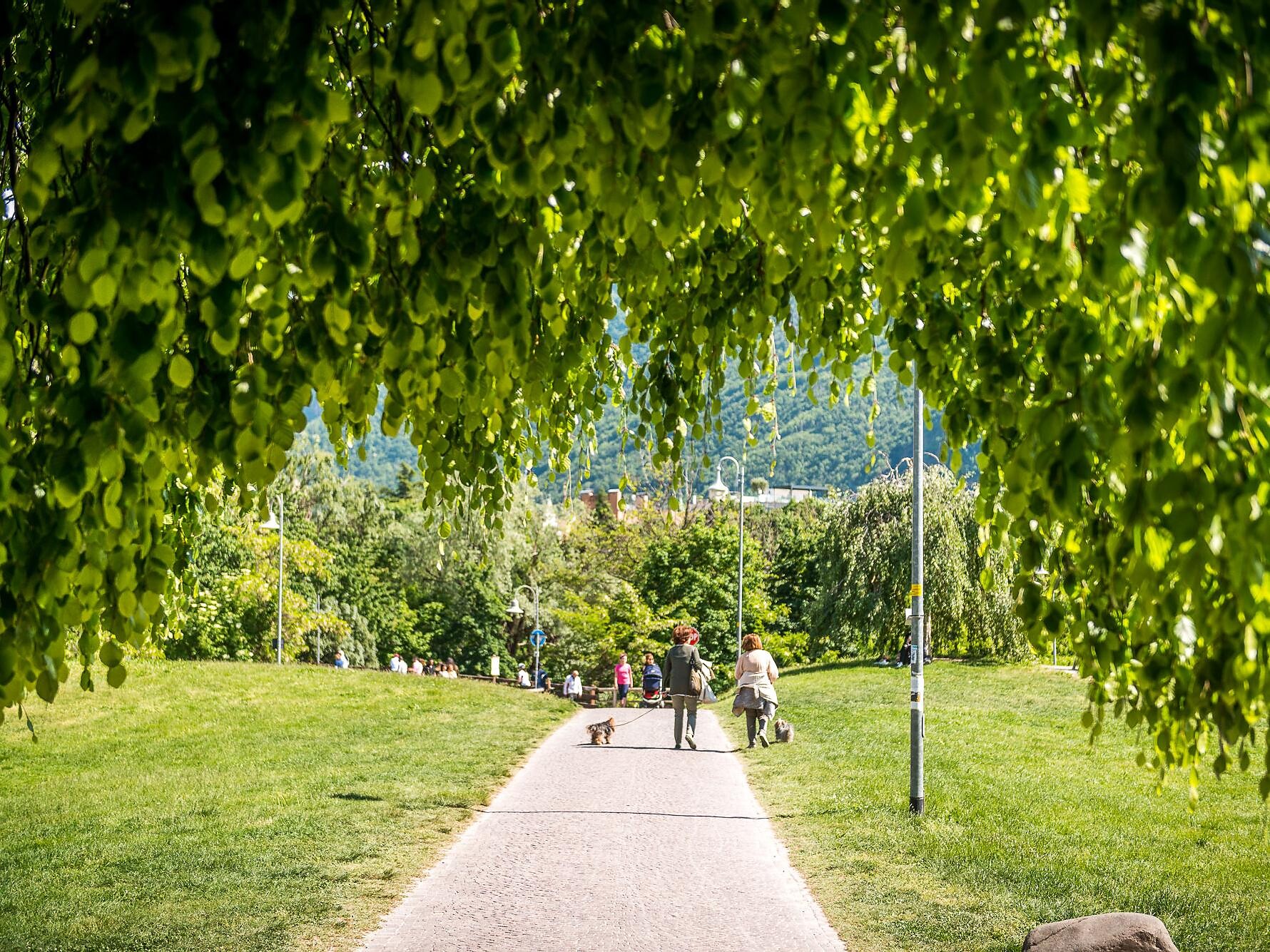 Passeggiata del Talvera
