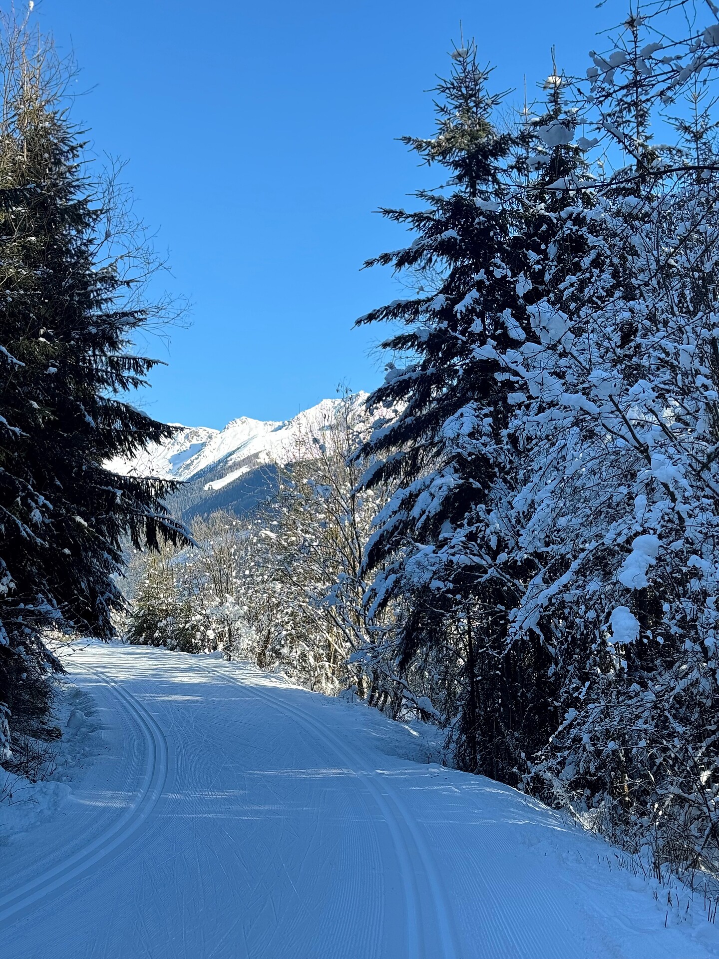 01/4 Tratto pista sci di fondo Val Casies: Hotel Tyrol – Steinegge – Kargruben -  - #2 - suedtirol.info