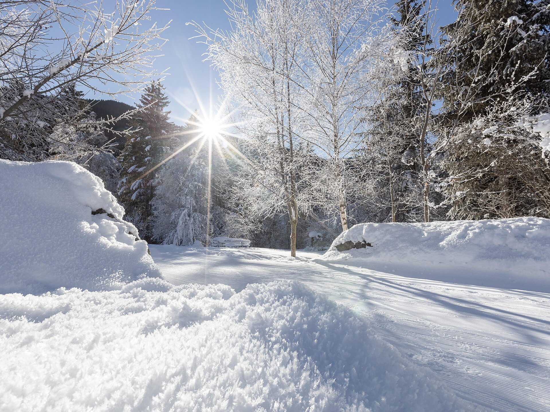 01/4 Tratto pista sci di fondo Val Casies: Hotel Tyrol – Steinegge – Kargruben -  - #1 - suedtirol.info