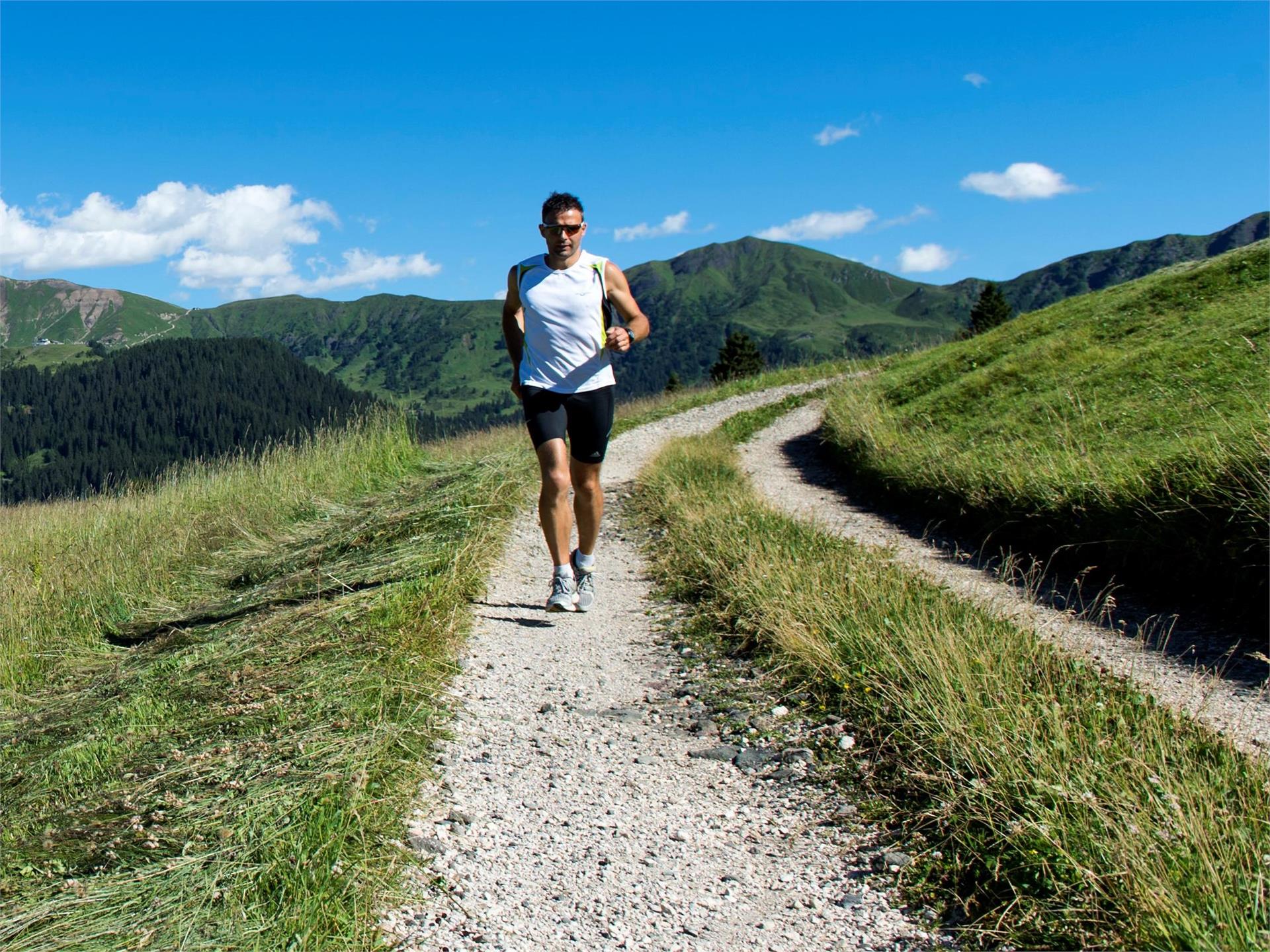 Trail St. Zyprian Tiers am Rosengarten 3 suedtirol.info