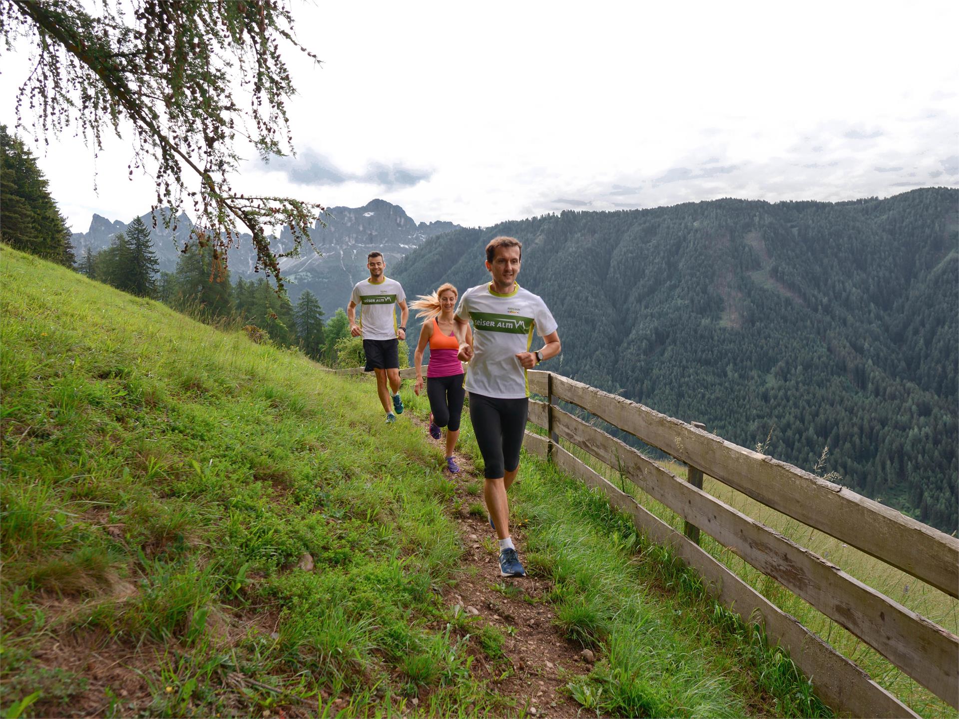 Trail St. Zyprian Tiers am Rosengarten 2 suedtirol.info