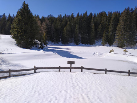 Trodena - Horn Alp in winter Truden/Trodena 4 suedtirol.info