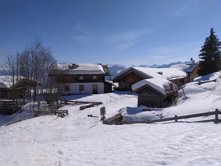 Trodena - Horn Alp in winter Truden/Trodena 1 suedtirol.info