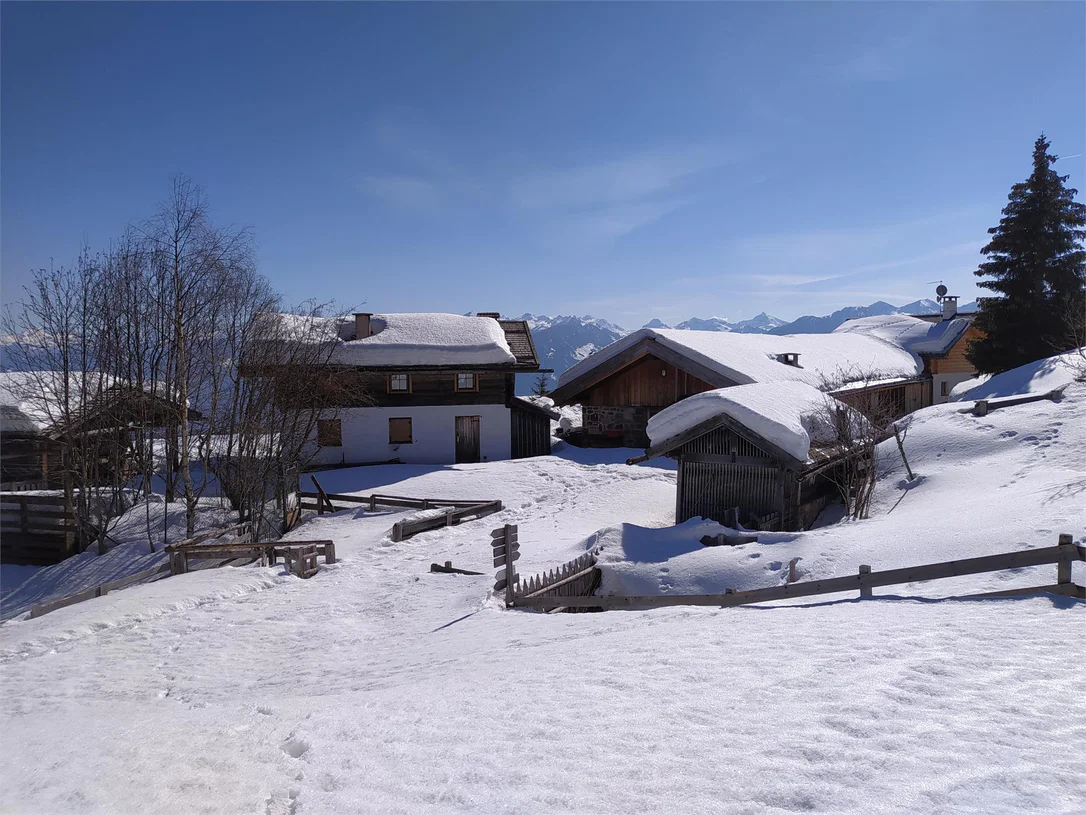 Trodena - Horn Alp in winter
