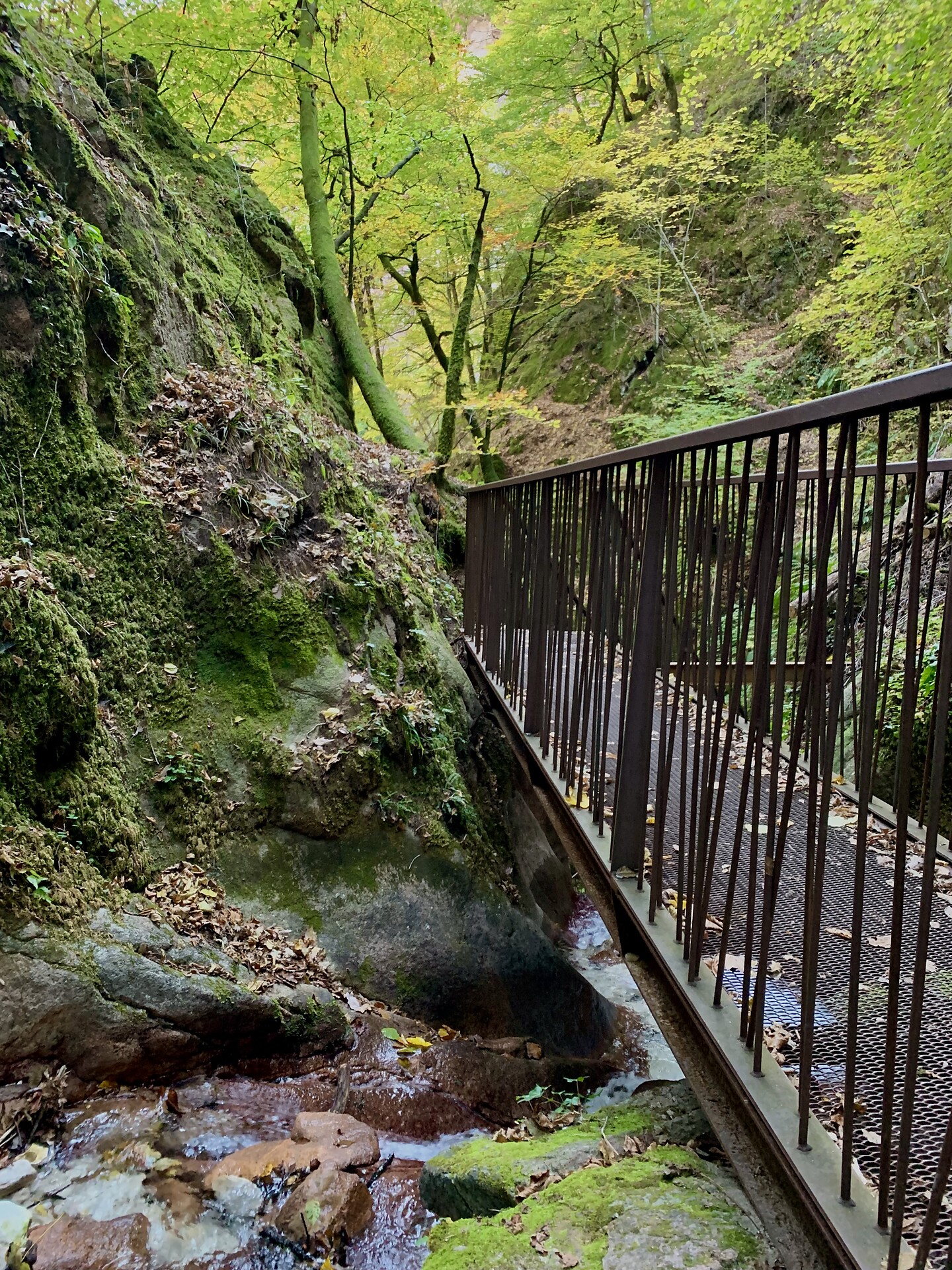bridge on the Rastenbach gorge