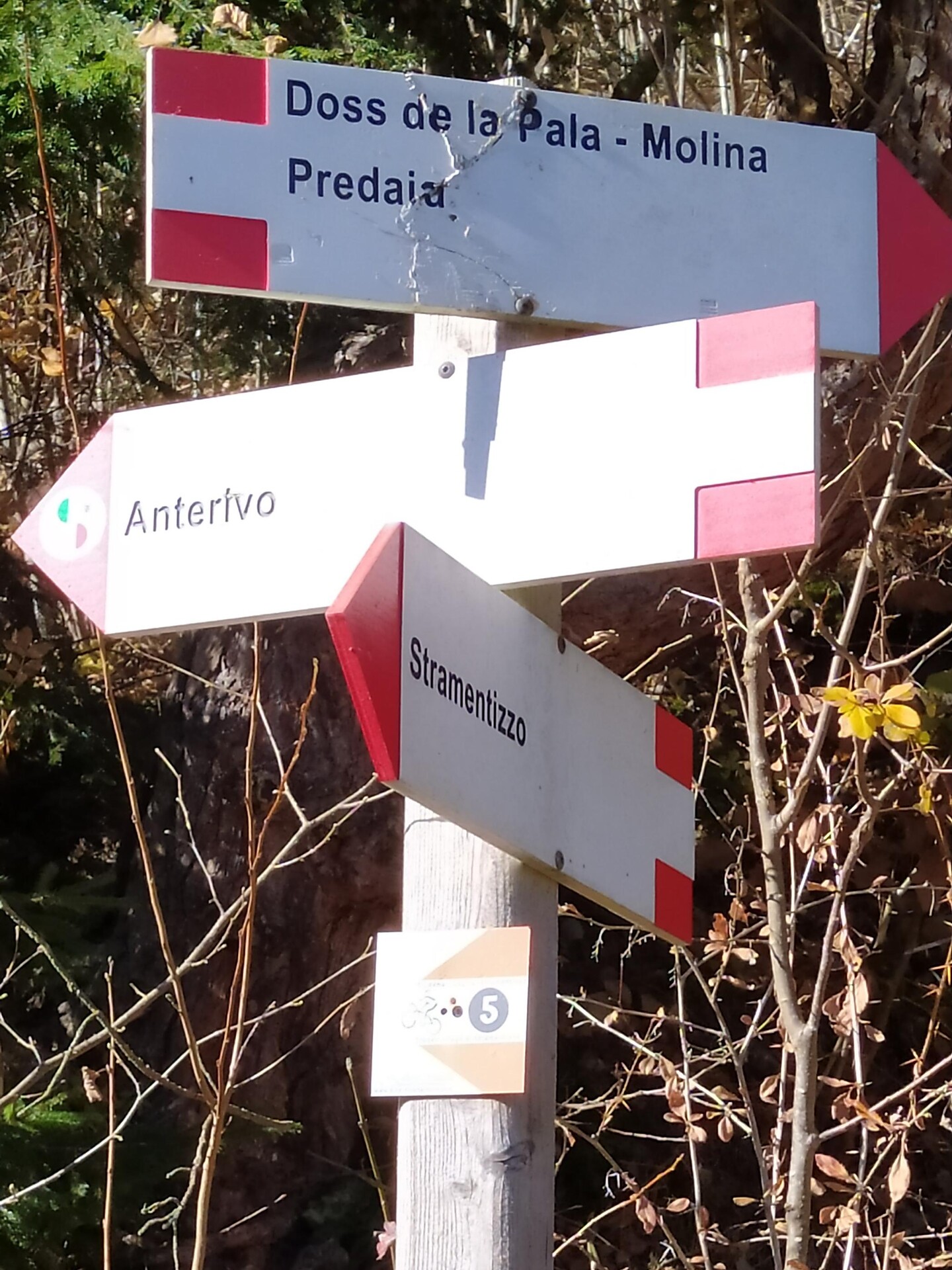 Marking MTB