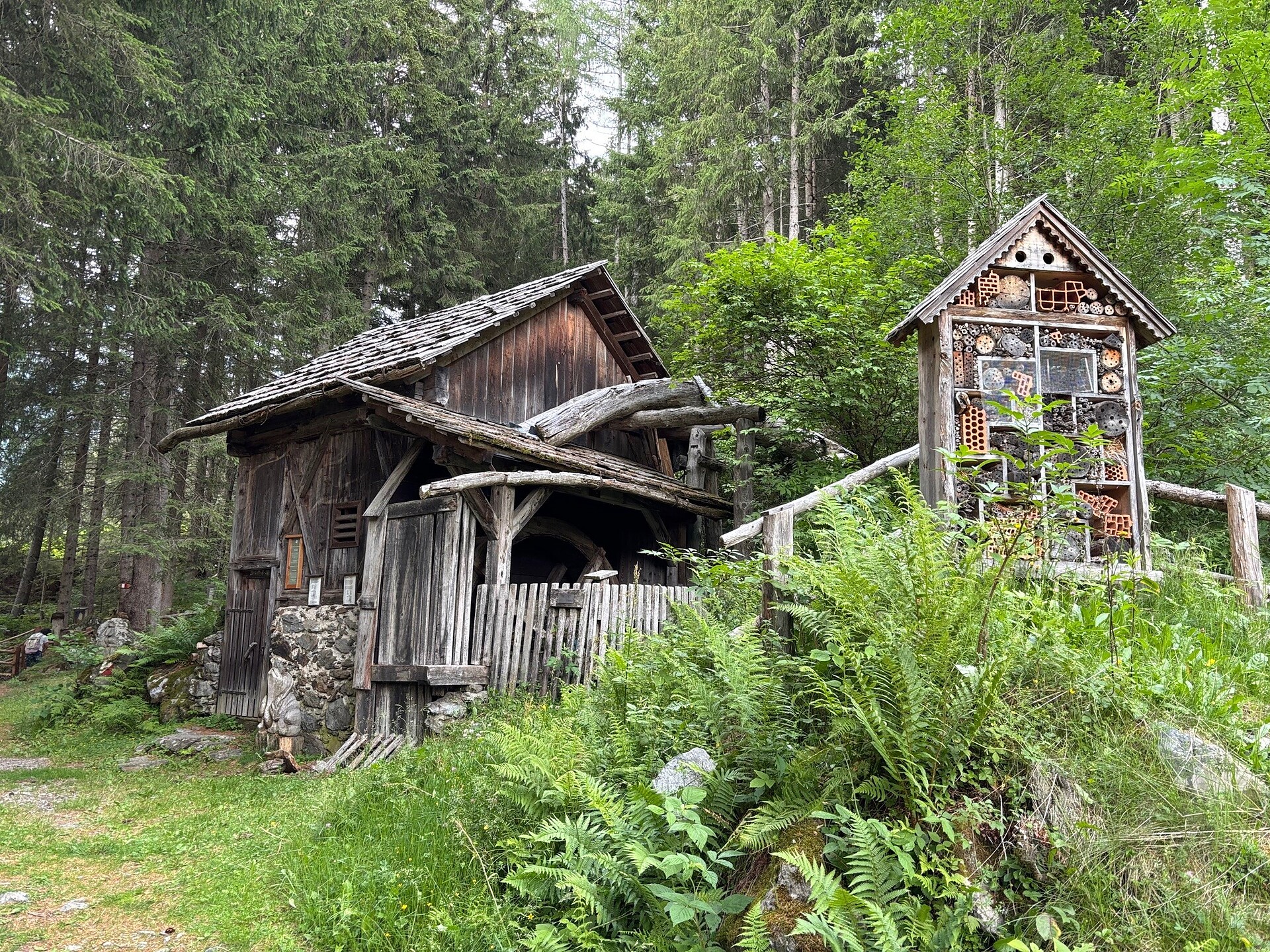 Toni’s Forest Trail – Nature Adventure Trail in Antholz Mittertal - Dolomites Region Kronplatz/Plan de Corones - #5 - suedtirol.info