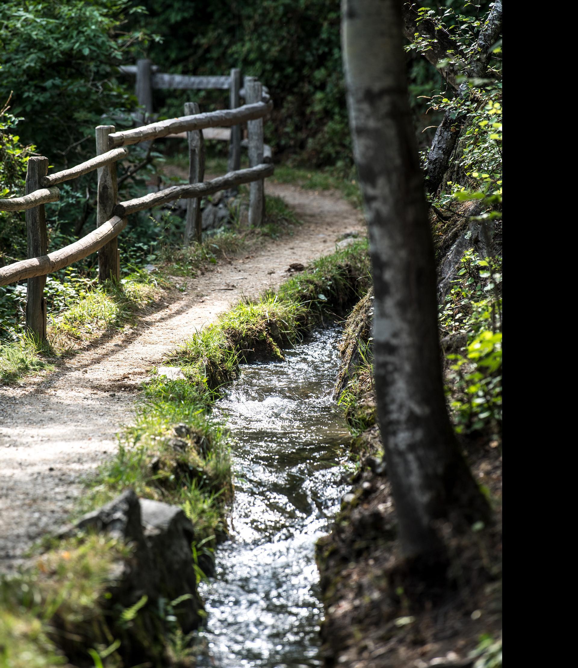 Terrainkurweg 6 - Partschins - Vertigen - Partschinser Waalweg - Partschinser Wasserfall Naturns 2 suedtirol.info