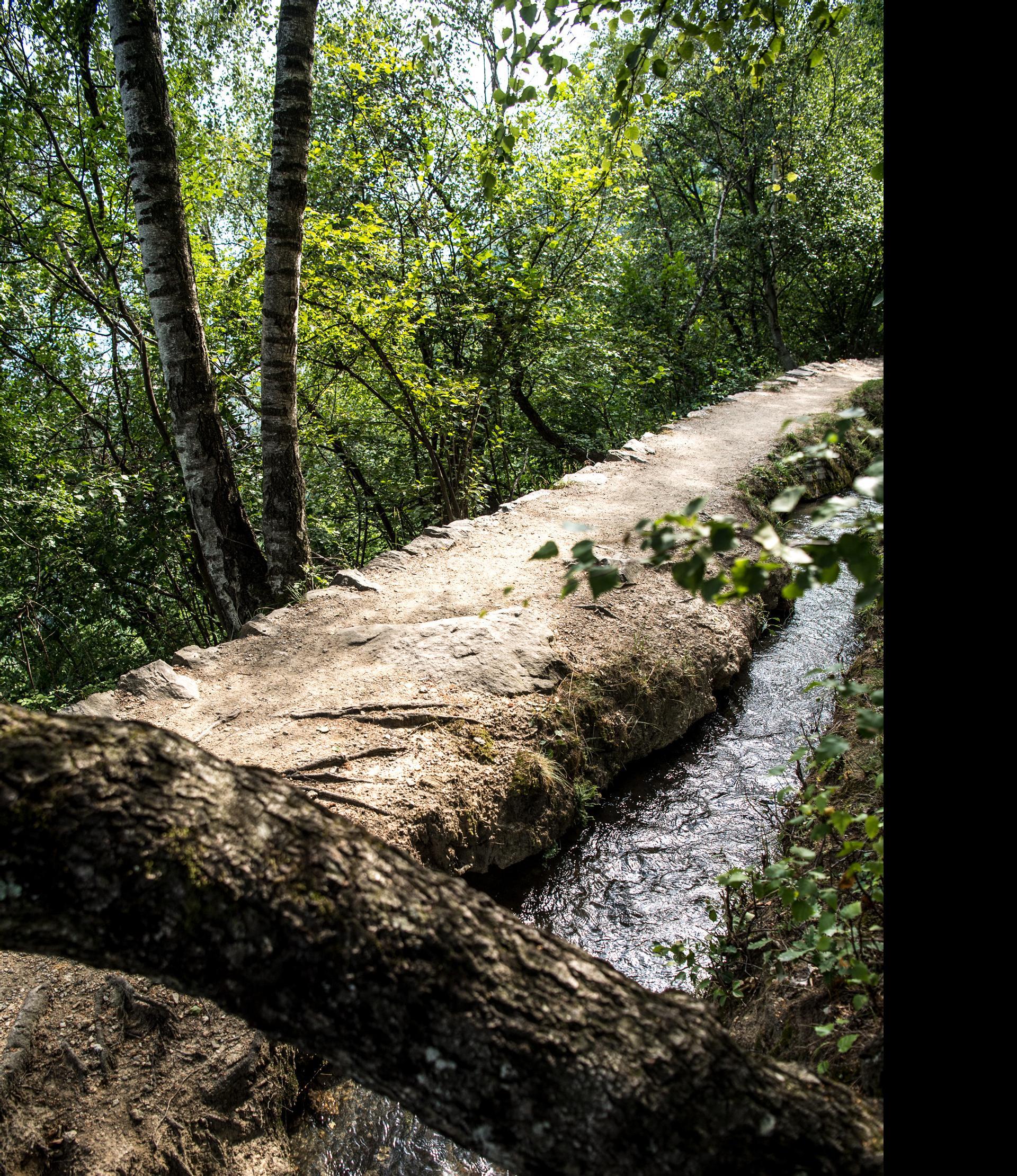 Terrainkurweg 6 - Partschins - Vertigen - Partschinser Waalweg - Partschinser Wasserfall Naturns 4 suedtirol.info