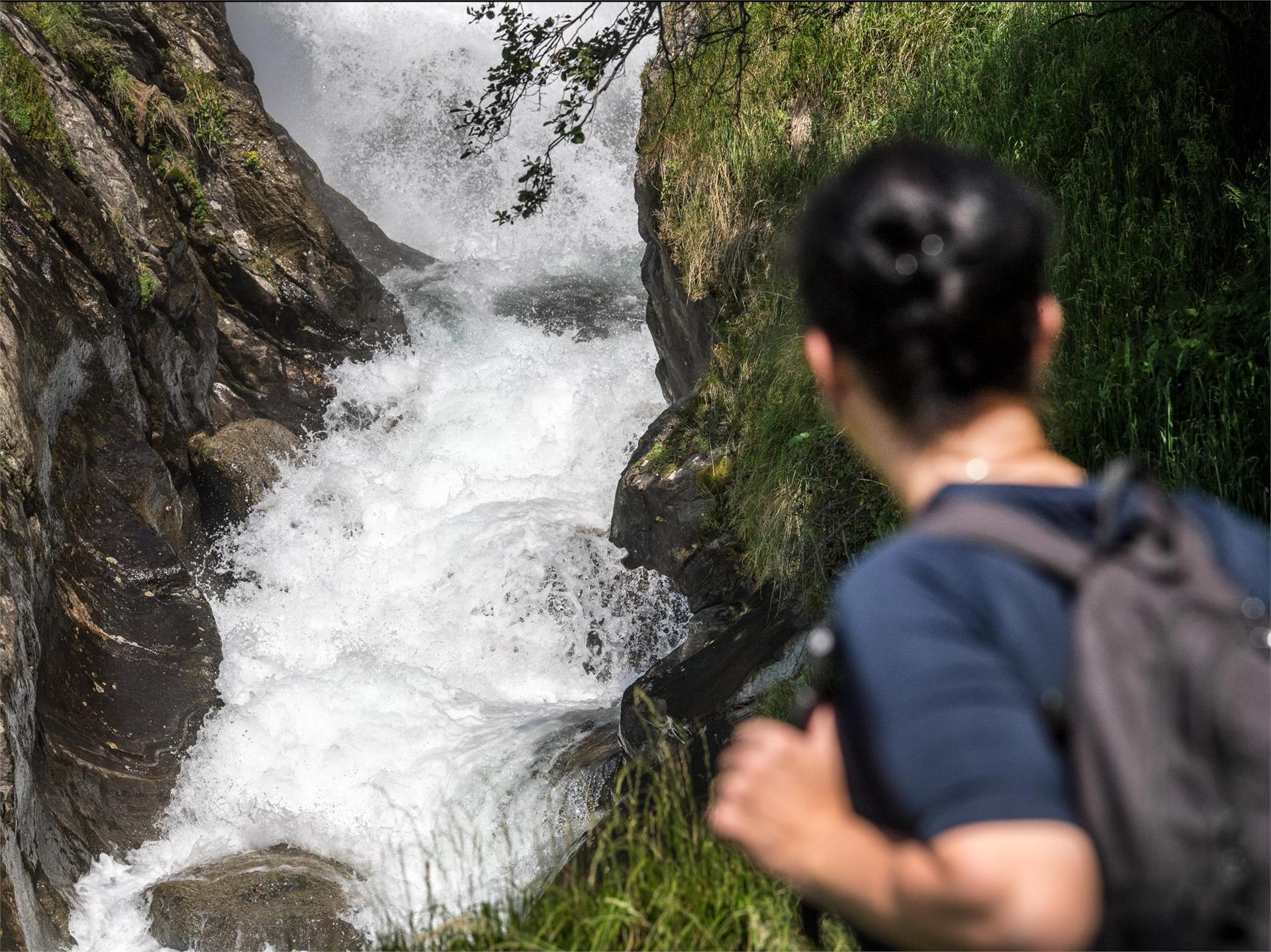 Terrainkurweg 6 - Partschins - Vertigen - Partschinser Waalweg - Partschinser Wasserfall Naturns 3 suedtirol.info