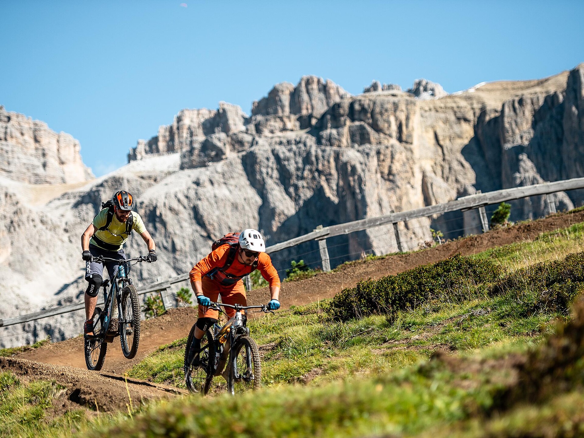Trail Arena