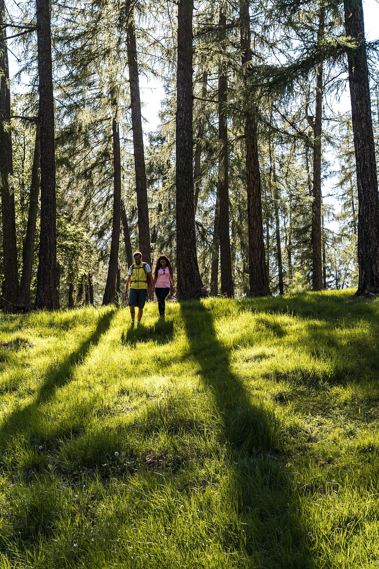 Nature Park Trudner Horn
