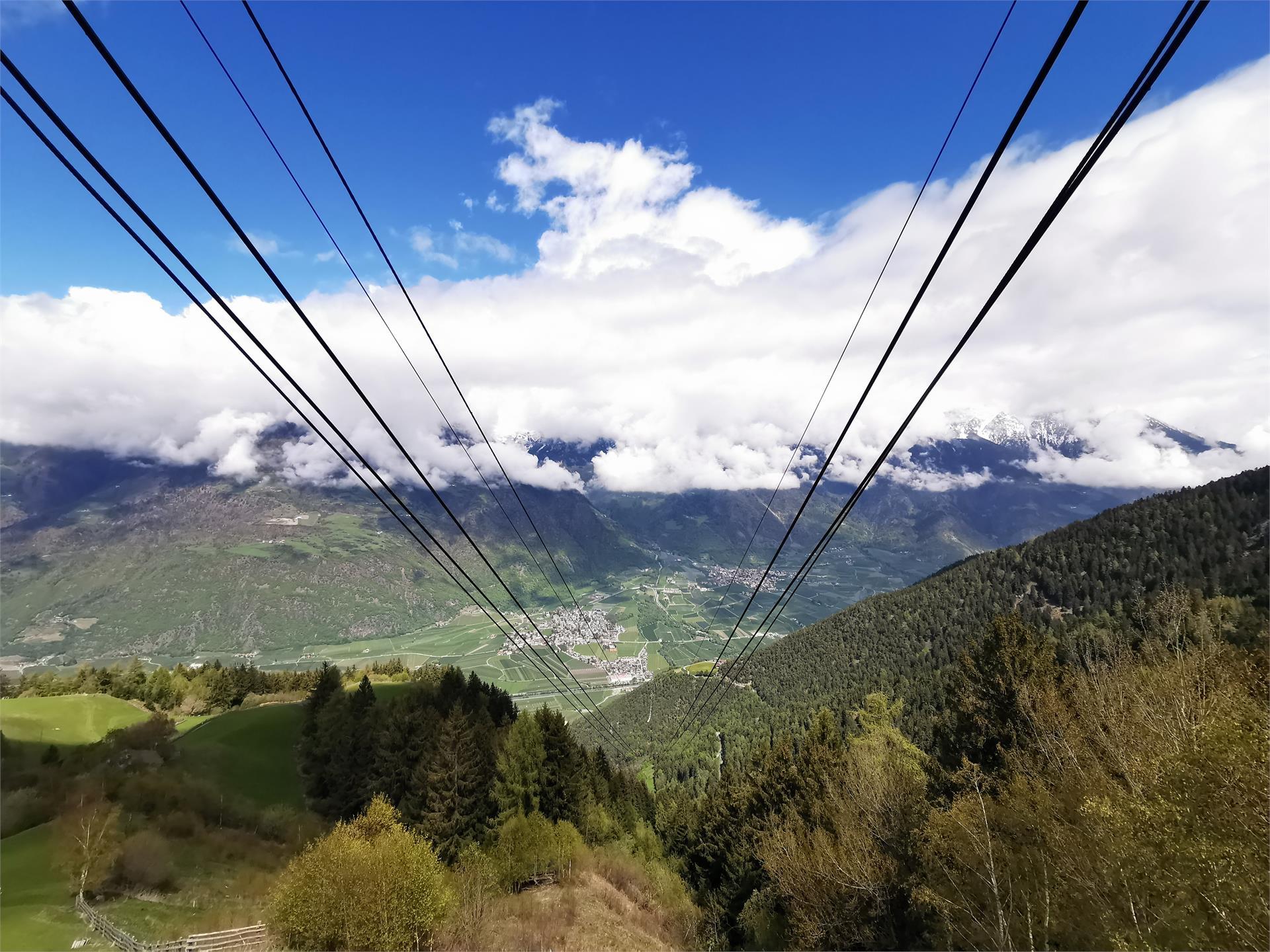 Terrain Cure Trail 3 - Aschbach mountain station – Eggersteig - Töll Algund/Lagundo 1 suedtirol.info