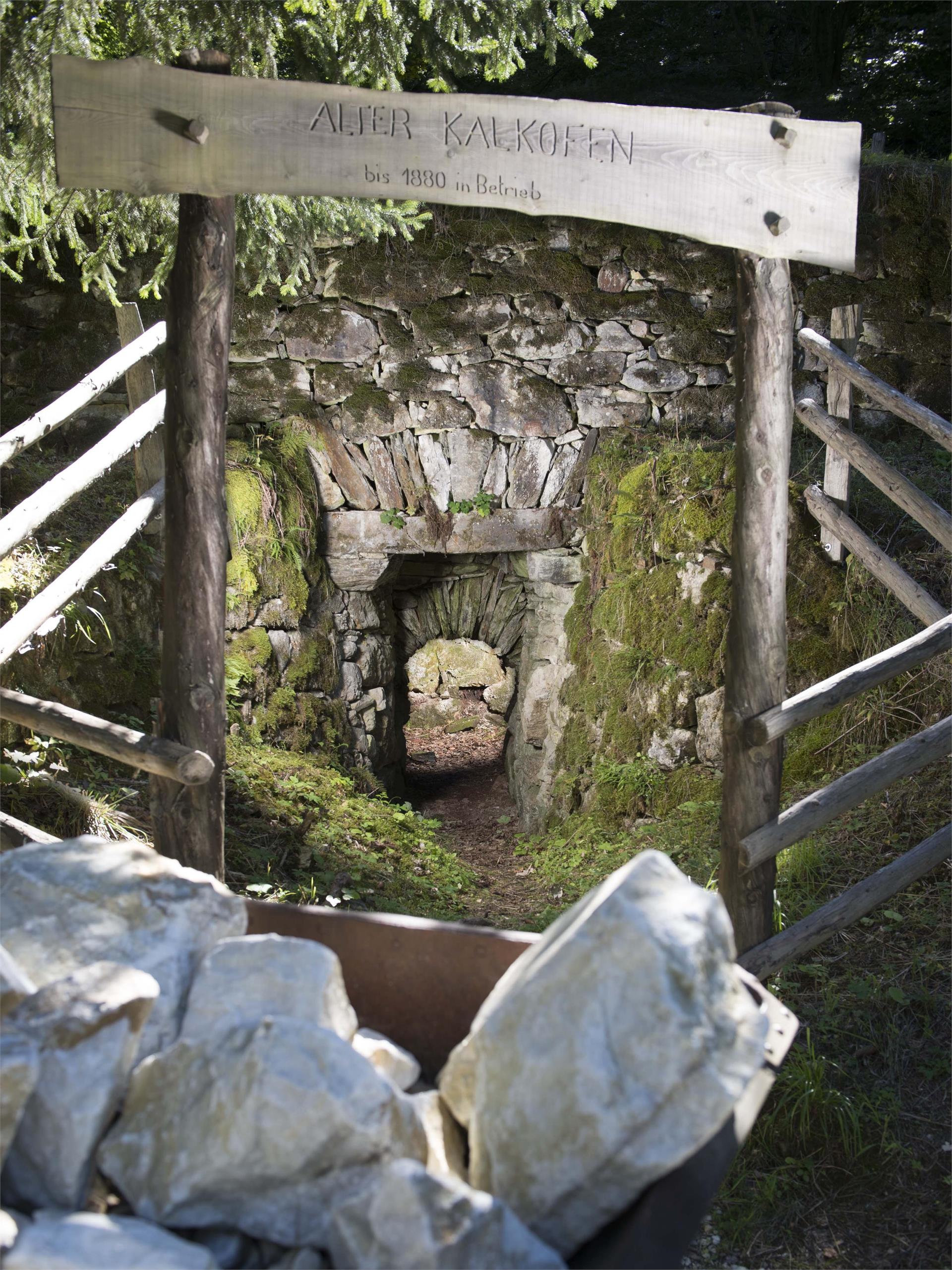 Terrain Cure Trail 3 - Aschbach mountain station – Eggersteig - Töll Algund/Lagundo 4 suedtirol.info