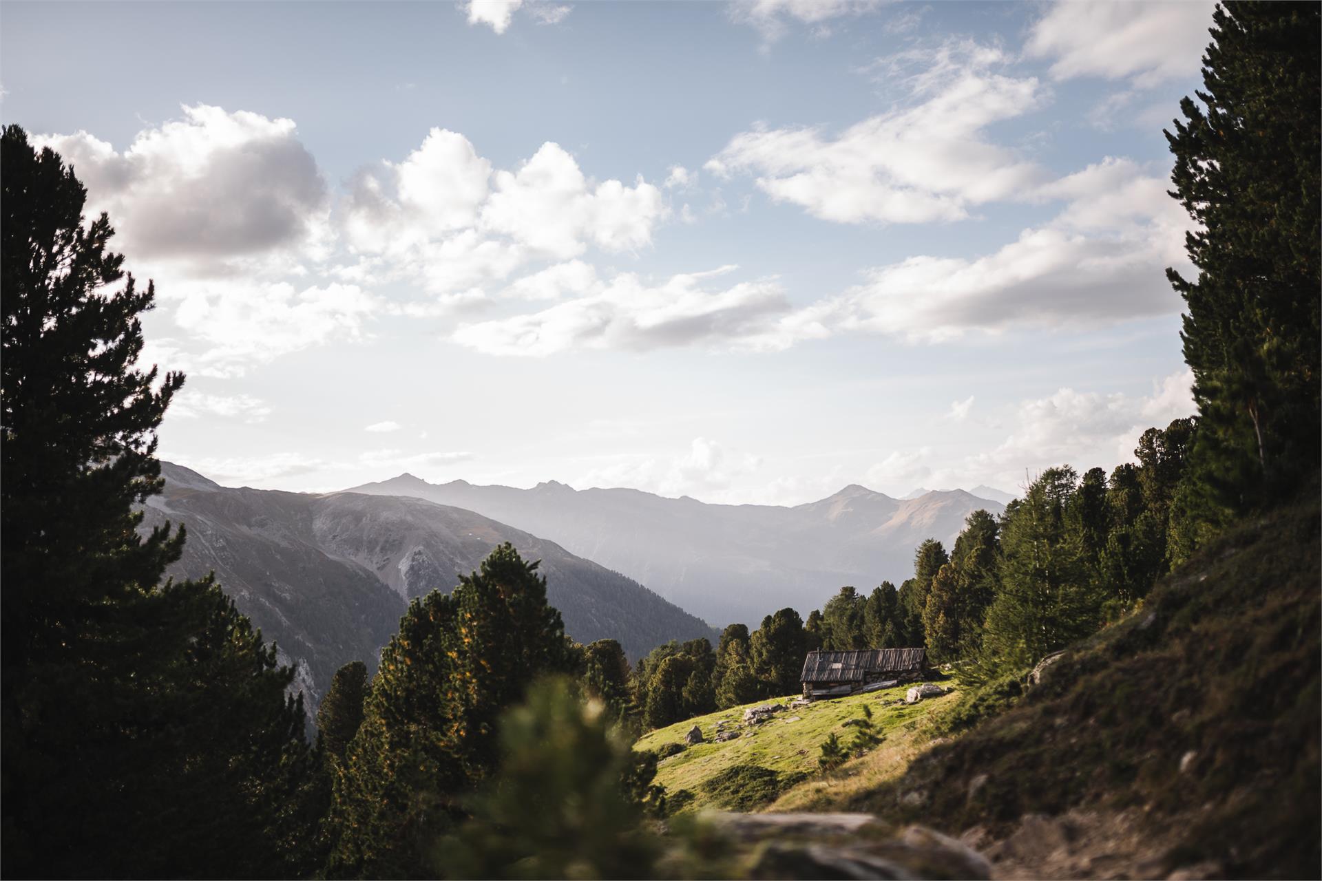 Trailrunning Prad Sulden Stilfs 1 suedtirol.info