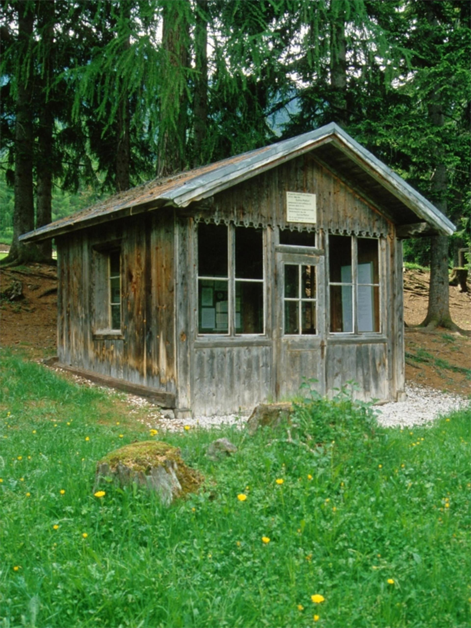 Sentiero tematico: Sentiero Gustav Mahler Dobbiaco 1 suedtirol.info