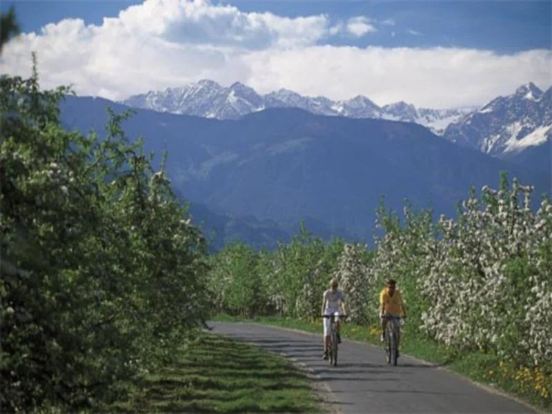 Giro di Terlano in bici