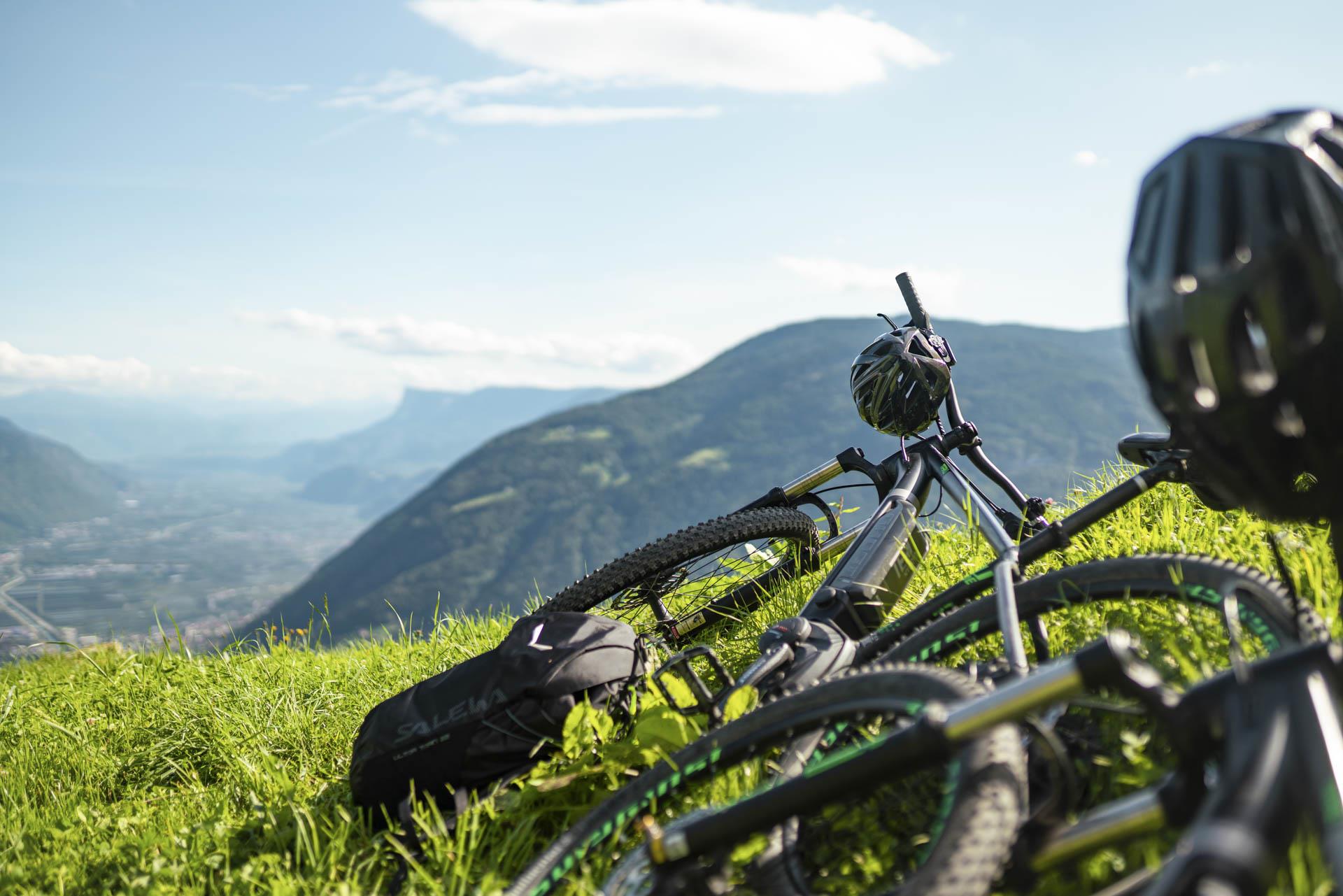 Uphill Leiter Alm Algund 3 suedtirol.info