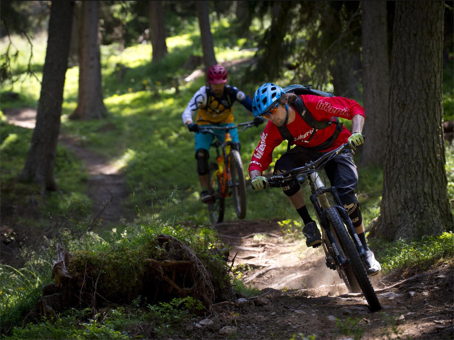 Unterer Family Trail Graun im Vinschgau/Curon Venosta 1 suedtirol.info