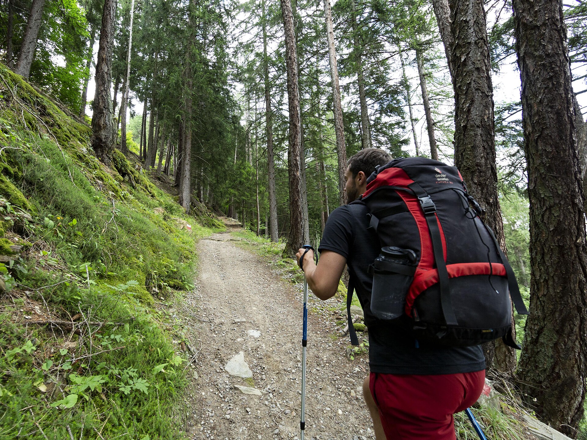 Hiking