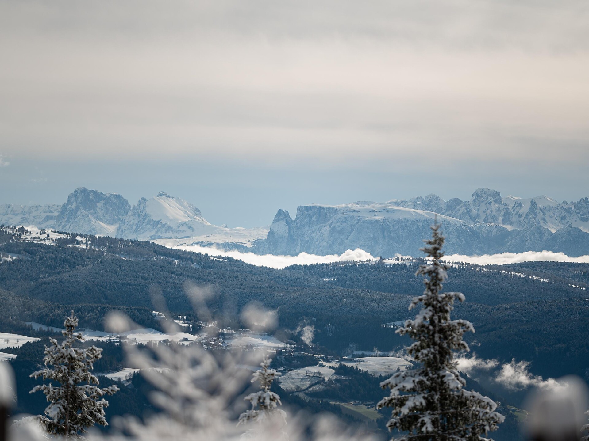 Tracing the Water – the Spring Path of Mount Vigiljoch - Meran/Merano and environs - #1 - suedtirol.info