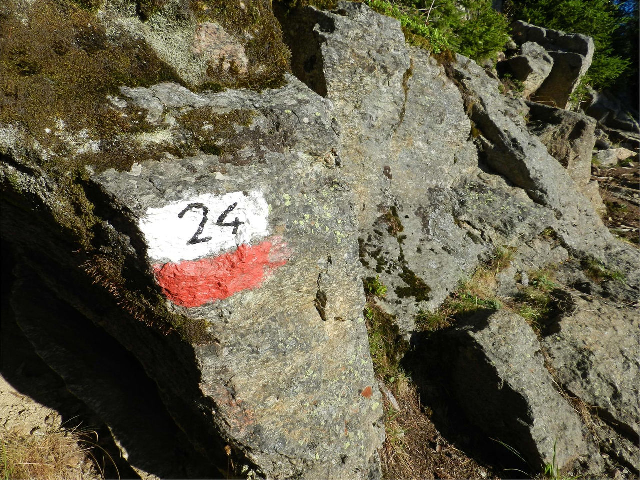 Slide 4